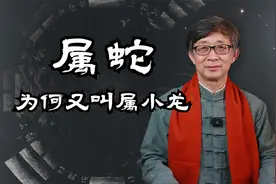 属蛇为什么又叫属小龙，龙和蛇是一回事吗？