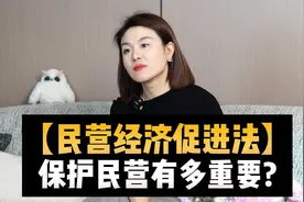 【民营经济促进法】，保护民营有多重要？#财经 #热点解读视频封面