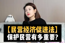 【民营经济促进法】，保护民营有多重要？#财经 #热点解读视频封面