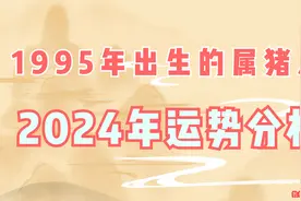 1995年出生的属猪人2024年运势分析视频封面