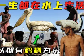 巴基斯坦莫阿纳人，一生都生活在水上，以拥有鹈鹕为荣视频封面