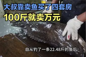大叔靠卖鱼买了4套房，一百斤石斑鱼，卖出了万元高价视频封面