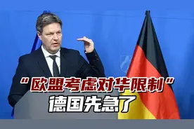 “欧盟考虑对中国限制”，听说这消息，德国部长先担忧起来视频封面