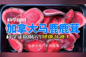 加拿大马鹿鹿茸：科学证据揭示的健康奇迹！视频封面
