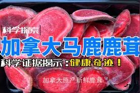 加拿大马鹿鹿茸：科学证据揭示的健康奇迹！视频封面