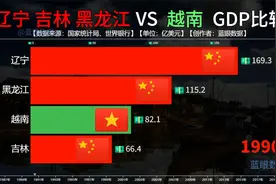 辽宁吉林黑龙江VS越南GDP对比，看越南与我们东北三省之间的差距视频封面