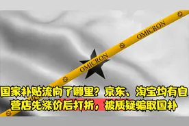 国家补贴流向了哪里？京东、淘宝均有自营店先涨价后打折视频封面