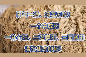 阳气一通、痰湿无踪！一个中成药，一补心阳、二温脾阳、三固肾阳视频封面
