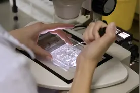 “别无选择”！调查发现逾七成美科研人员考虑离开美国，原因披露视频封面