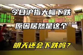 今日沪指大幅下跌，原因居然是这个，明天还会下跌吗？视频封面