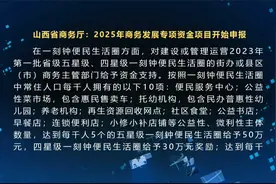 山西省商务厅：2025年商务发展专项资金项目开始申报视频封面