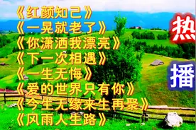 王峰金曲<一晃就老了><你潇洒我漂亮><风雨人生路><下一次相遇>视频封面