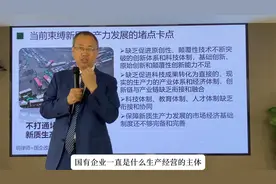 发展新质生产力有哪些束缚？——基础、原始、颠覆性创新能力不足视频封面