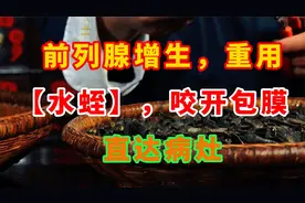 前列腺增生，重用【水蛭】，“咬开”包膜，直达病灶！视频封面