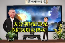 无分别智启慧光，岂同灰身灭智殇？视频封面