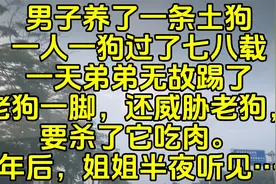 男子养了一条土狗，一人一狗过了七八载。一天弟弟无故踢老狗一脚视频封面
