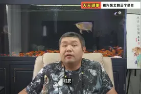 天天硬事3742  东北发展的三个条件已经具备 未来将大有可为视频封面