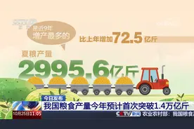 今日发布 我国粮食产量今年预计首次突破1.4万亿斤视频封面