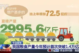 今日发布 我国粮食产量今年预计首次突破1.4万亿斤视频封面