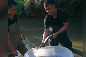 今天花600包村口的一个老鱼塘，没想到最后表哥竟然亏惨了#户外