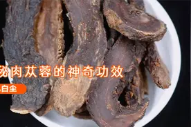 探秘肉苁蓉的神奇功效！壮阳补精，女性保健，健康秘籍揭晓！🌿💪视频封面