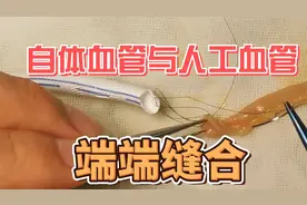 血管缝合训练4：自体血管与人工血管的端端缝合（降落伞法）