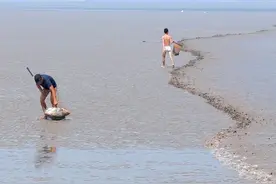 #钱塘江抓潮头鱼，鱼多的时候那是就怕你拿不动视频封面