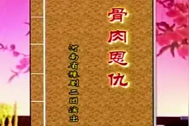 豫剧《骨肉恩仇》全本 河南省豫剧二团视频封面