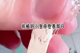 抖音或头条搜索【黑岩故事会】小程序，输入口令『393631』看逅续视频封面