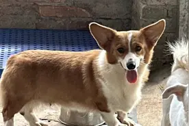 20230831众善基金会公益筹款说明视频封面