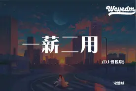 宋盐球 - 一薪二用 (DJ 慢摇版)「上班我半死不活下班我到点就撤