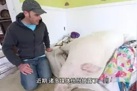 美国北部遭遇超级猪入侵，这是一场人祸还是自然灾害？视频封面