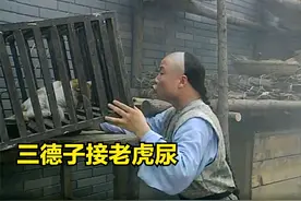 老虎尿竟然这样来的？猪苦胆制作成熊胆，犀牛角更离谱