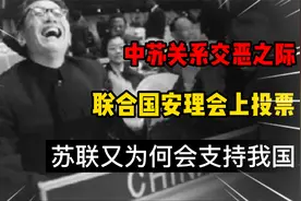 1971年中苏关系交恶，联合国安理会上投票，苏联为何支持我们？视频封面