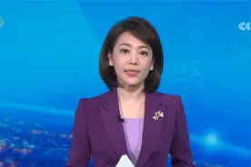 中国太平保险集团原党委委员 副总经理肖星被开除党籍和公职视频封面