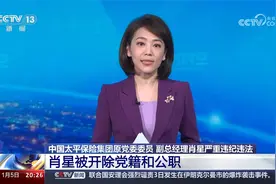 中国太平保险集团原党委委员 副总经理肖星被开除党籍和公职视频封面