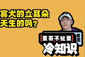 女生奖励男朋友的正确方式是什么？视频封面