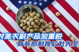 对美农副产品加重税，商务部制裁后发先至，这只是“开胃小菜”视频封面
