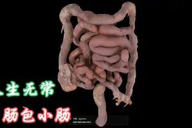 “人生无常”，“大肠包小肠”