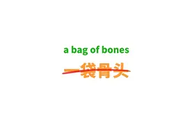 a bag of bones可不是“一袋骨头”！