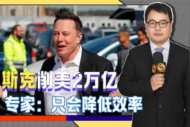 马斯克升级“马部长”，揭露美国3个真相，还会引发“内战”？视频封面