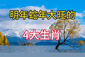 明年蛇年大旺的4大生肖，顺风顺水，事事如意，你是否榜上有名？视频封面
