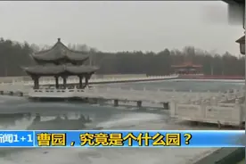 曹园究竟是个什么园？“庄主”曹波现身回应，背后老板是谁视频封面