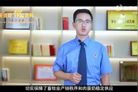 全面追踪“假饲料”（安徽检察）视频封面