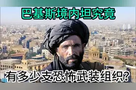 巴基斯坦究竟有多少支恐怖武装组织？视频封面