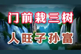 最孝顺父母的3个生肖，第一名是谁，看其中有你吗说的非常准视频封面