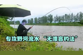 专攻野河强流水，无漂盲钓法，简单刺激，新手必备！视频封面