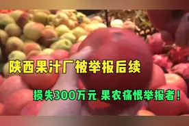 越闹越大！陕西果汁厂被举报后续：损失300万元 果农痛恨举报者！视频封面