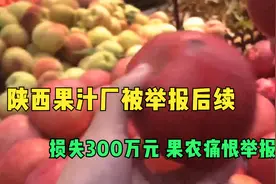 越闹越大！陕西果汁厂被举报后续：损失300万元 果农痛恨举报者！视频封面