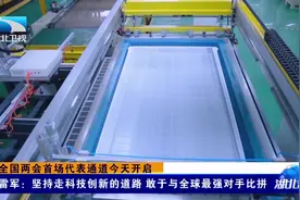 雷军：坚持走科技创新的道路 敢于与全球最强对手比拼视频封面